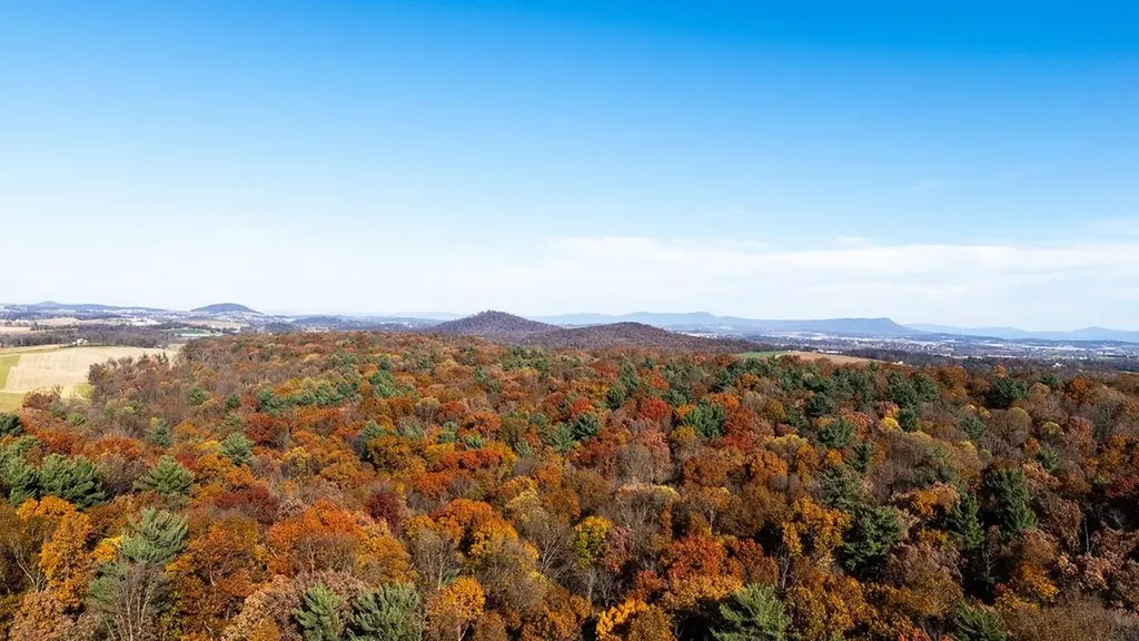 333 Bridgewater Road Bridgewater VA 22812