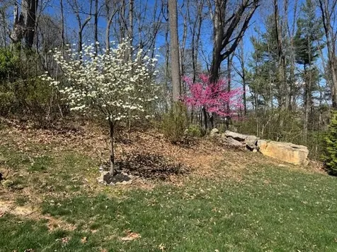 124 Steeplechase Drive Penn Laird VA 22846