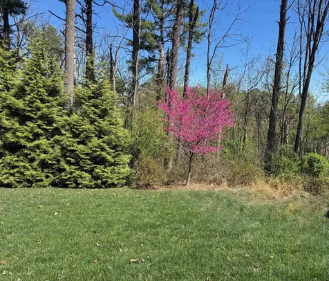124 Steeplechase Drive Penn Laird VA 22846