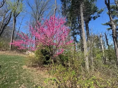 124 Steeplechase Drive Penn Laird VA 22846