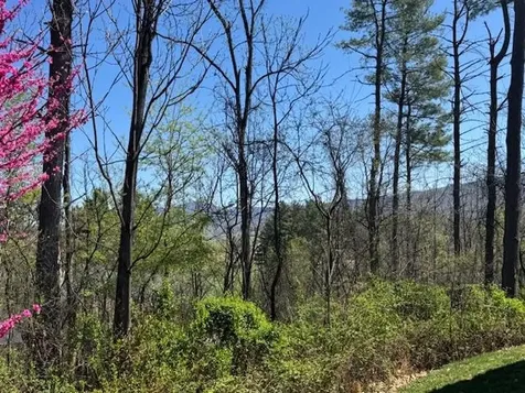 124 Steeplechase Drive Penn Laird VA 22846