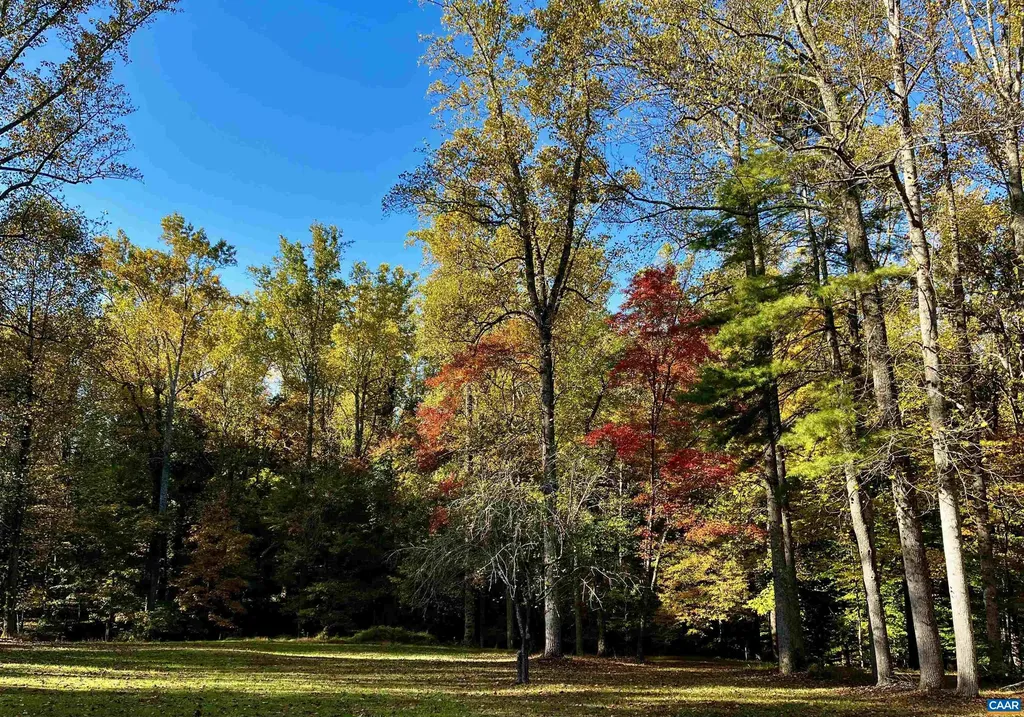 2482 Schelford Farm Road Charlottesville VA 22901