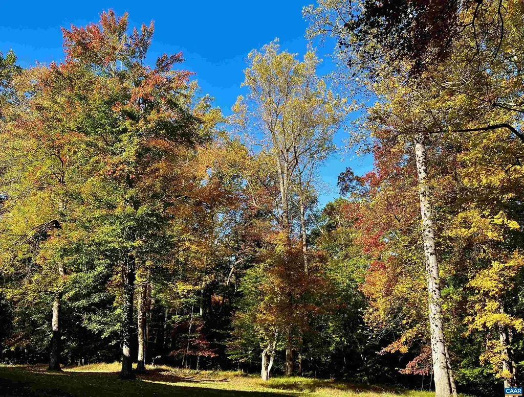 2482 Schelford Farm Road Charlottesville VA 22901