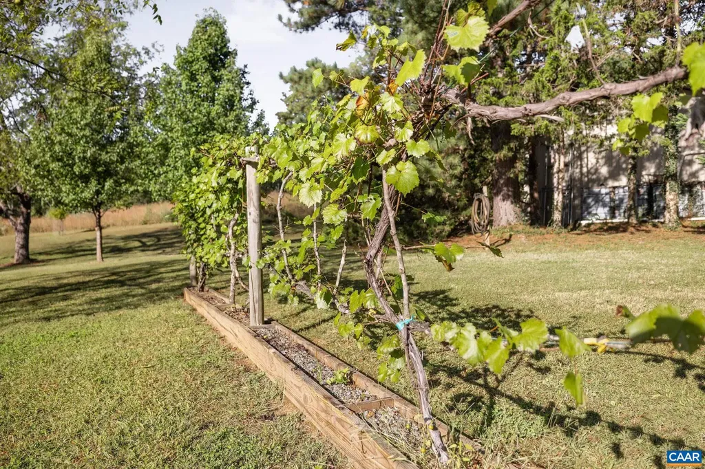 2402 Rock Branch Lane North Garden VA 22959