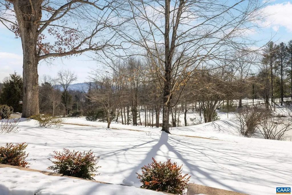 2402 Rock Branch Lane North Garden VA 22959