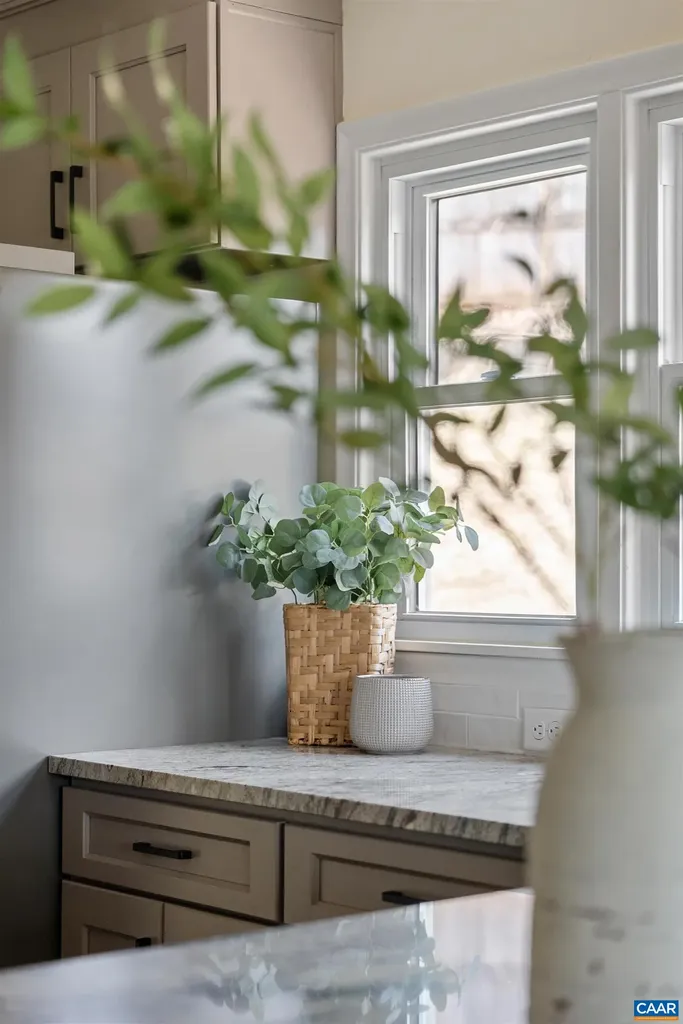 919 Druid Avenue Charlottesville VA 22902