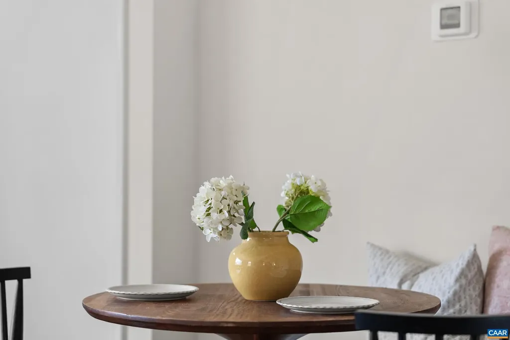 919 Druid Avenue Charlottesville VA 22902