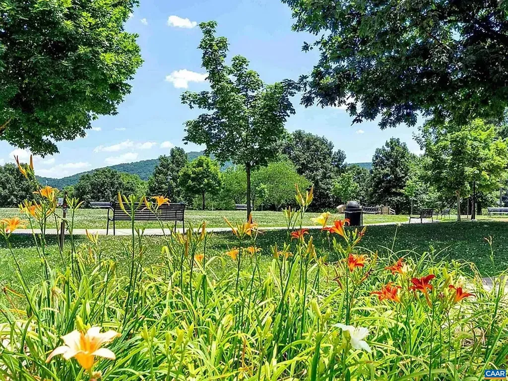 919 Druid Avenue Charlottesville VA 22902