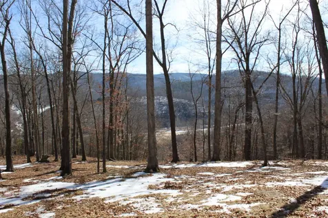 Tbd Dogwood Drive Monterey VA 24465