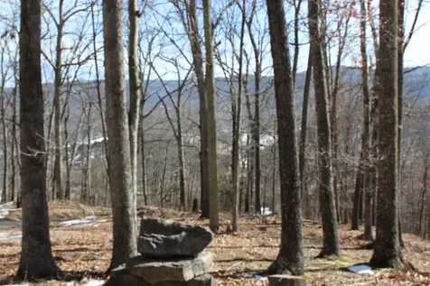 Tbd Dogwood Drive Monterey VA 24465