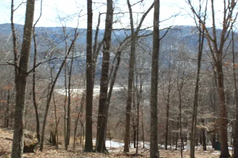 Tbd Dogwood Drive Monterey VA 24465