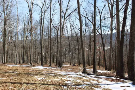 Tbd Dogwood Drive Monterey VA 24465