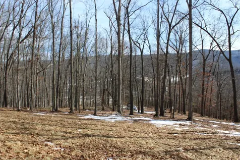Tbd Dogwood Drive Monterey VA 24465