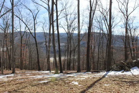 Tbd Dogwood Drive Monterey VA 24465