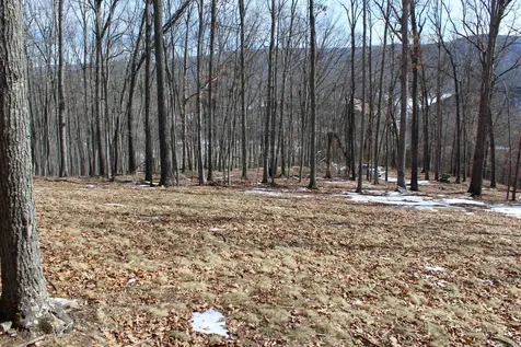 Tbd Dogwood Drive Monterey VA 24465