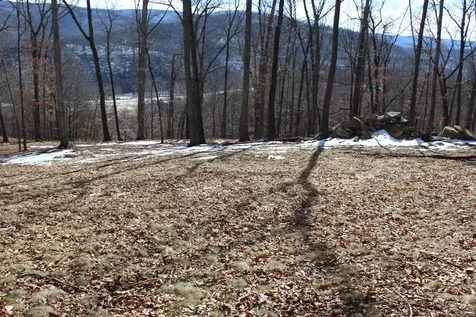 Tbd Dogwood Drive Monterey VA 24465