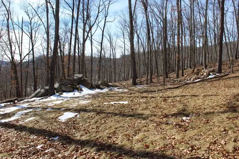 Tbd Dogwood Drive Monterey VA 24465