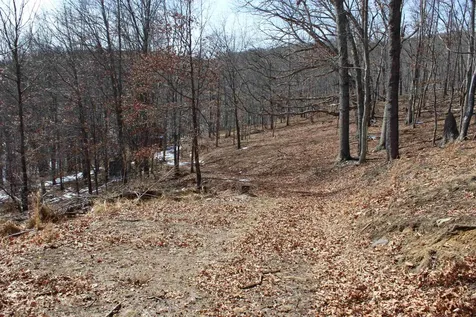 Tbd Dogwood Drive Monterey VA 24465