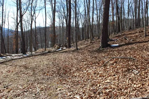 Tbd Dogwood Drive Monterey VA 24465