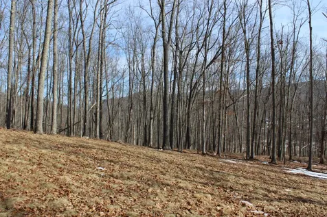 Tbd Dogwood Drive Monterey VA 24465