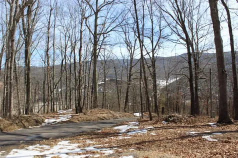 Tbd Dogwood Drive Monterey VA 24465