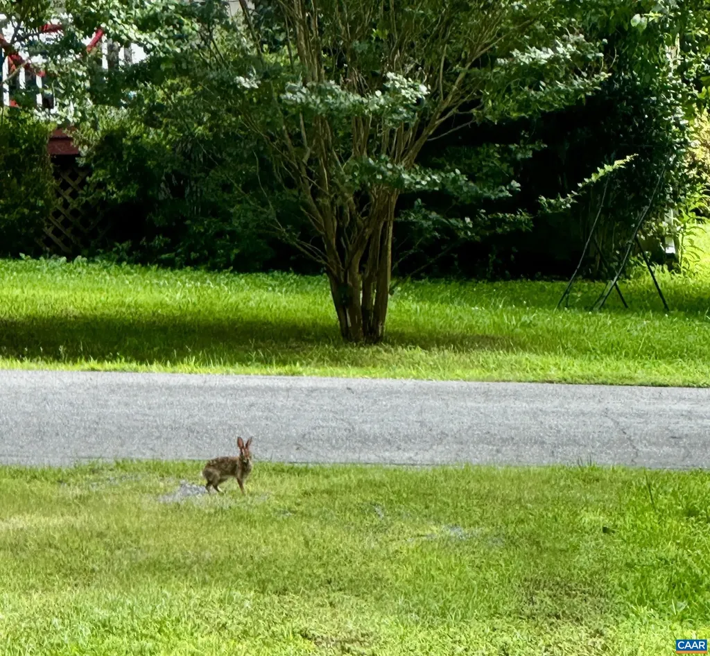 10 Loblolly Road Palmyra VA 22963