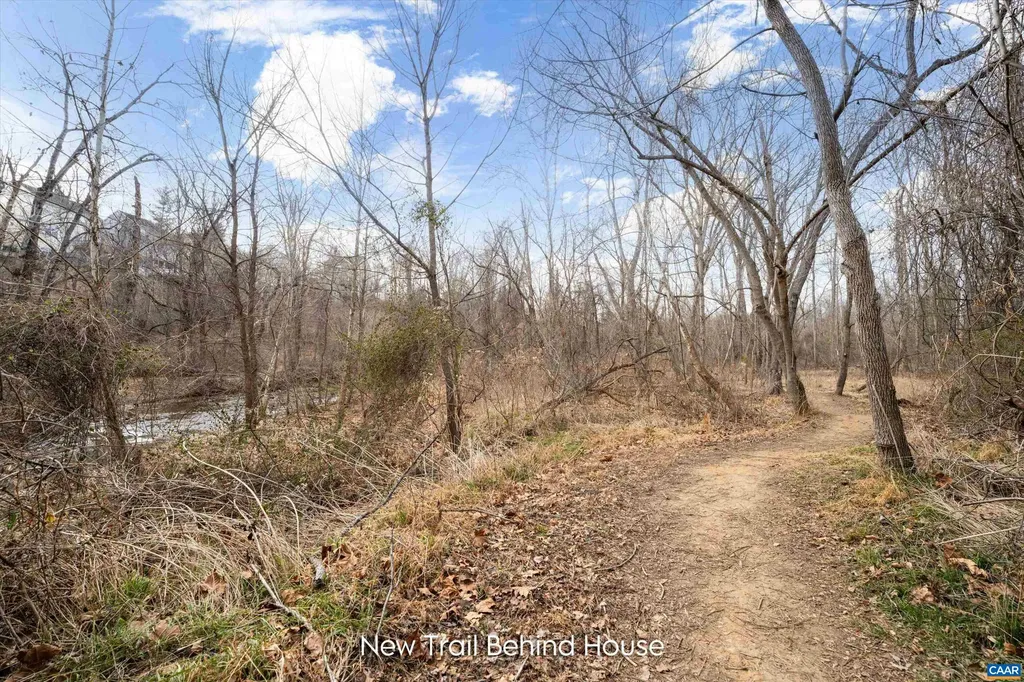 1204 Holmes Avenue Charlottesville VA 22901