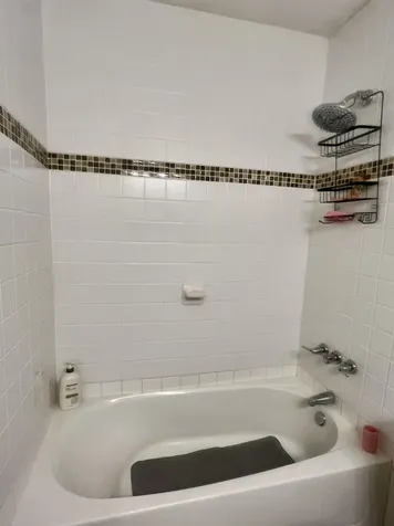 124 Forest Springs Drive Stuarts Draft VA 24477