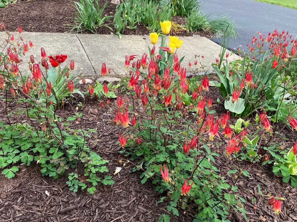 419 Wyndham Hill Drive Fishersville VA 22939