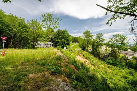 Valley View Drive Mount Sidney VA 24467