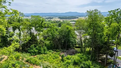 Valley View Drive Mount Sidney VA 24467