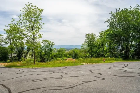 Valley View Drive Mount Sidney VA 24467