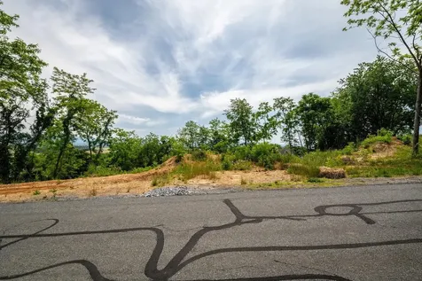 Valley View Drive Mount Sidney VA 24467