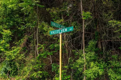 Valley View Drive Mount Sidney VA 24467