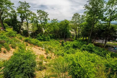 Valley View Drive Mount Sidney VA 24467