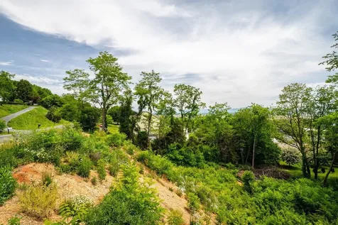 Valley View Drive Mount Sidney VA 24467