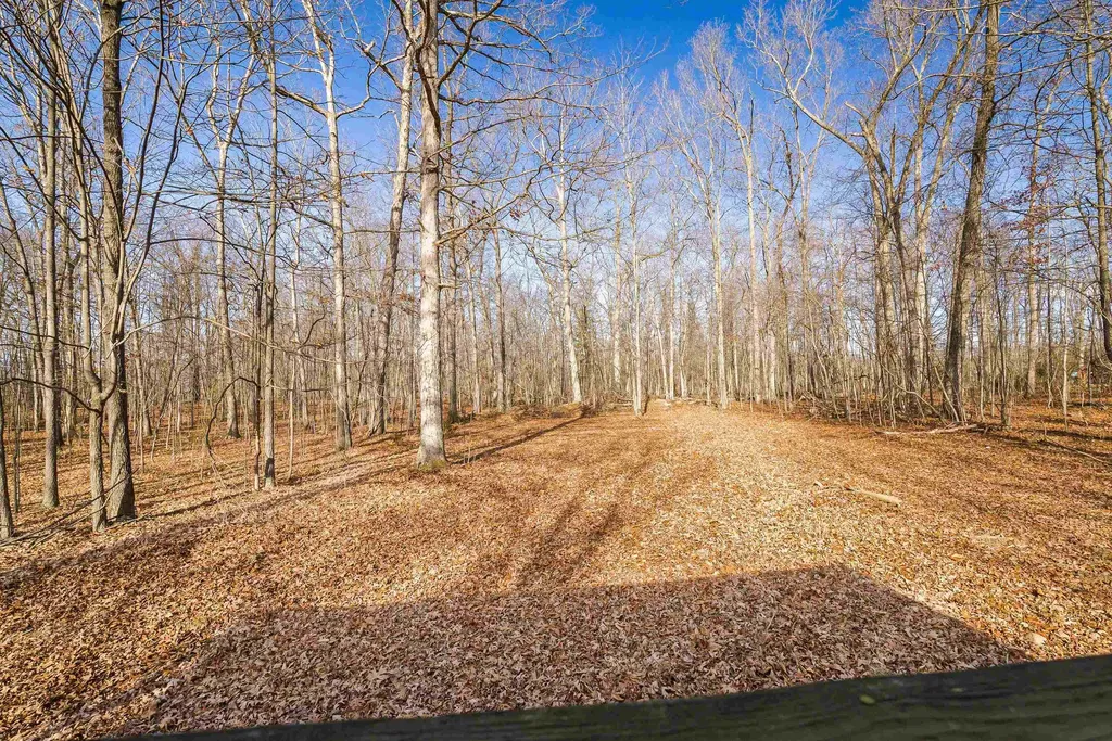 2851 Thorofare Road Elkton VA 22827