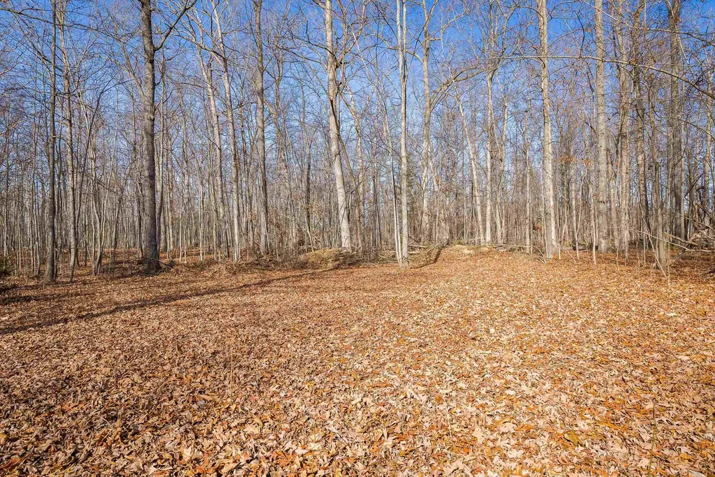 2851 Thorofare Road Elkton VA 22827