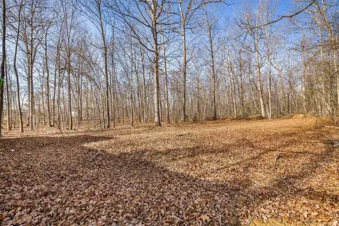 2851 Thorofare Road Elkton VA 22827