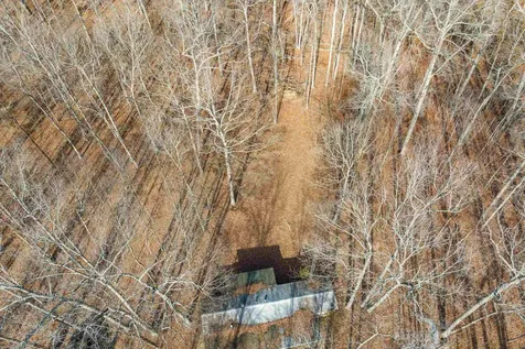 2851 Thorofare Road Elkton VA 22827