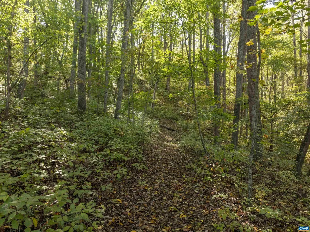 4035 Edge Valley Road North Garden VA 22959