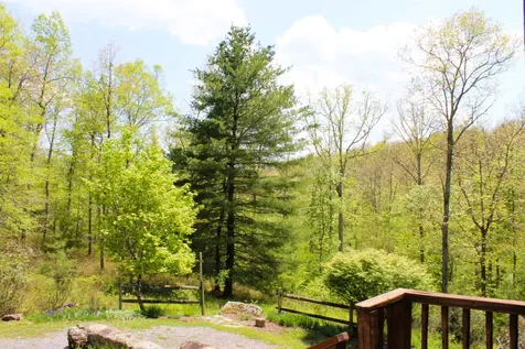 625 Hummingbird Lane Monterey VA 24465
