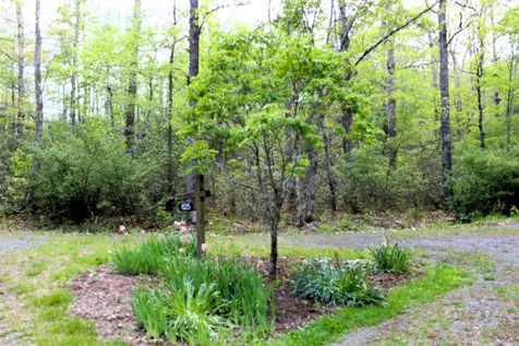 625 Hummingbird Lane Monterey VA 24465