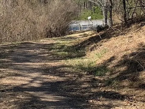12002 Jackson River Road Monterey VA 24465