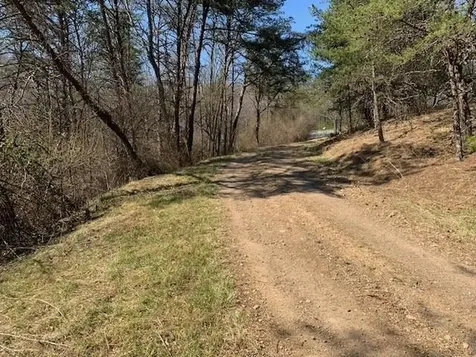 12002 Jackson River Road Monterey VA 24465