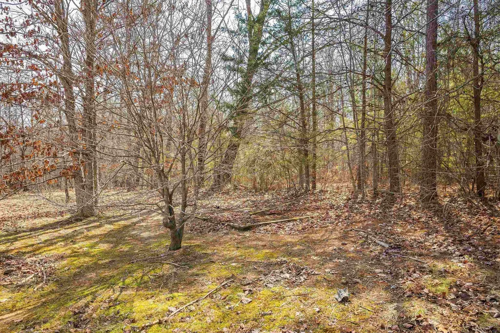 12090 Constitution Route S Scottsville VA 24590