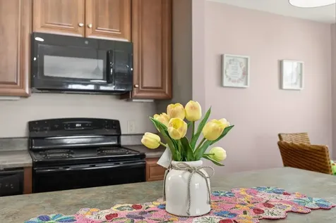 1424 Southampton Court Harrisonburg VA 22801