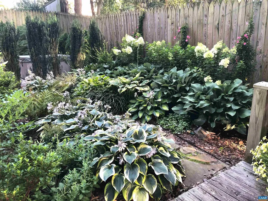 1820 Fendall Avenue Charlottesville VA 22903