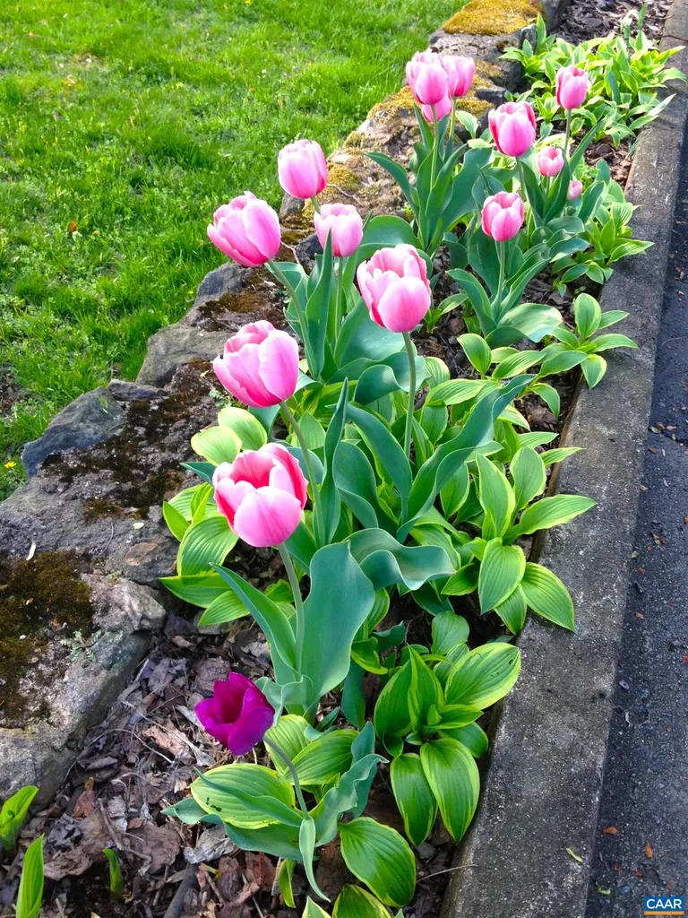 1820 Fendall Avenue Charlottesville VA 22903