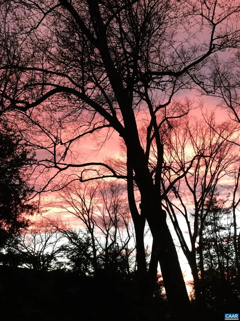 1820 Fendall Avenue Charlottesville VA 22903